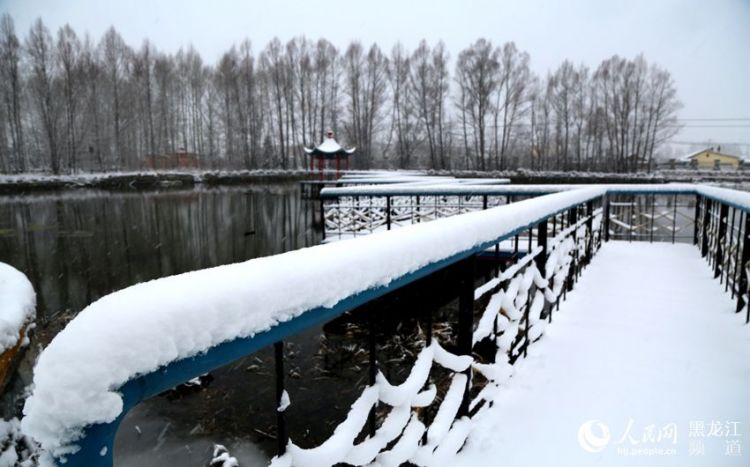 “中國(guó)最冷小鎮(zhèn)”大興安嶺呼中迎來(lái)降雪 一夜間變成“童話世界”（圖）