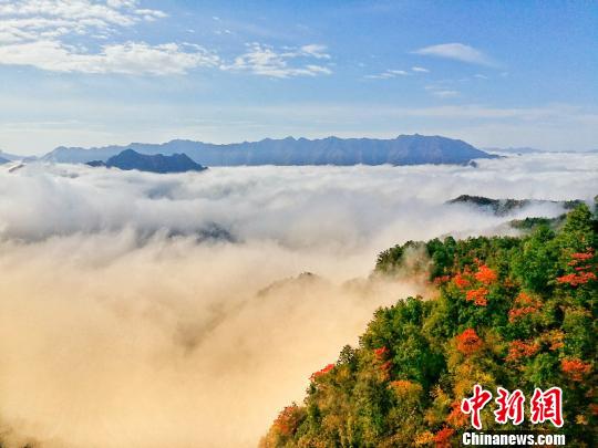 重慶城口漫山彩葉斑斕