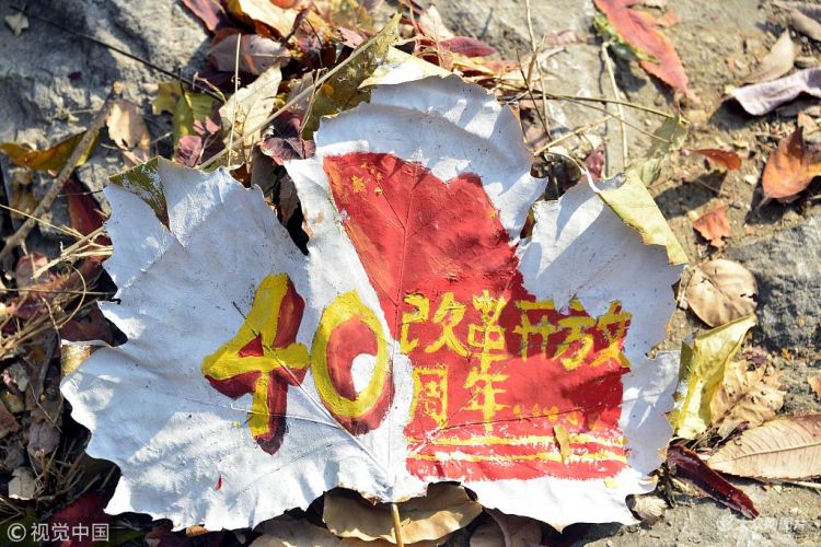 聊城：大學(xué)生枯葉涂鴉紀(jì)念改革開放40周年