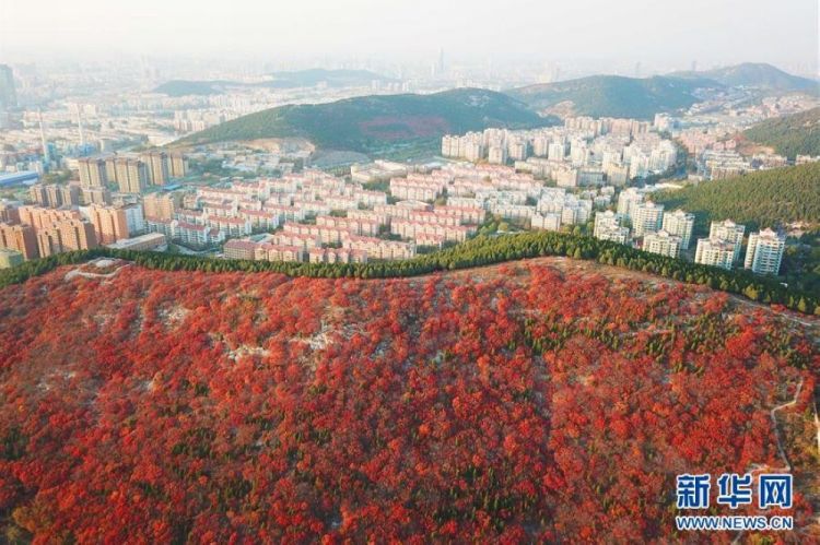 平分秋色 濟(jì)南楔子山“一山雙色”