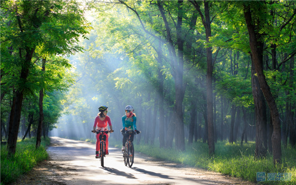 东营,黄河三角洲的中心城市,朝气蓬勃,美轮美奂的生态湿地之城.