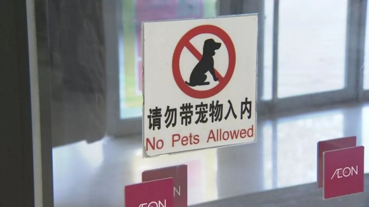 青岛禁养犬图片