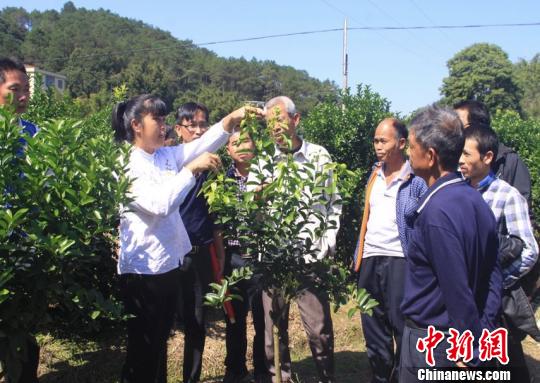 廣西小縣城脫貧記：建橋修路種果蔬 農民求學“田間課堂”