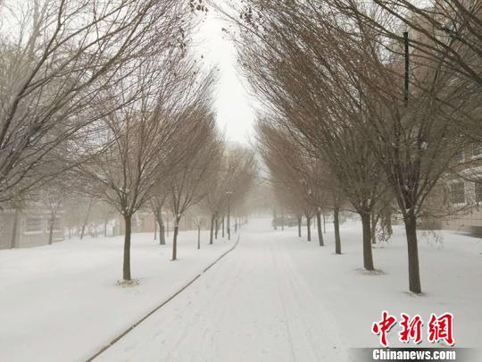 烏魯木齊發布暴雪黃色預警 預計新增積雪超20厘米