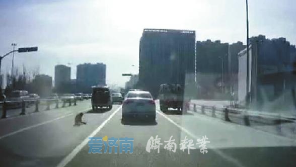 驚險!車上男童滾落快車道；幸好!后車好心人一抱脫險