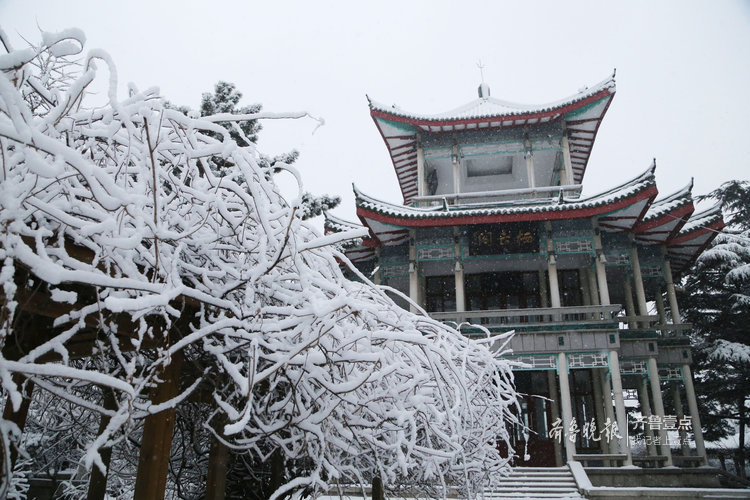 煙臺現罕見雪凇奇觀!玉樹瓊枝,美不勝收