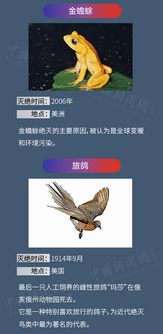灭绝动物图鉴,你认识哪些?