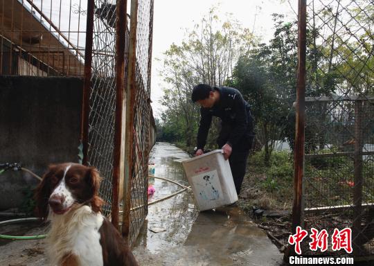 帶“汪星人”入警界的帶犬民警：訓犬像養娃一樣