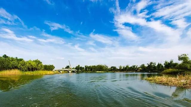 济西湿地公园今年五一正式开放