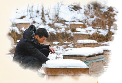 上興安嶺，進(jìn)秦巴山，到獨(dú)龍江 歲末年初探脫貧