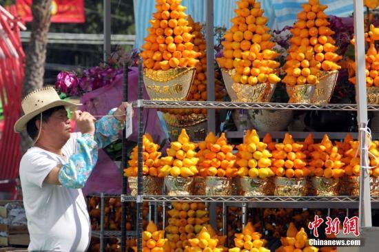 澳門年花漲價未擾市民購花熱情 桃花年桔受歡迎