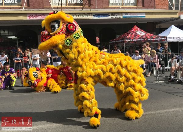 堪培拉三個華人家庭的中國年：“過年是一件必須做的事情”