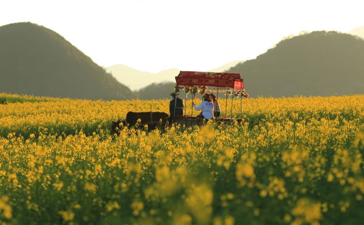 游山玩水過大年