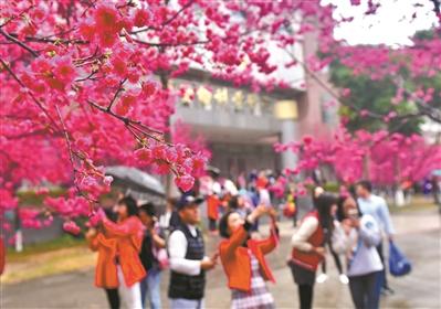 鄉村游假期大熱：民宿搶手 自駕車家庭游刷滿朋友圈