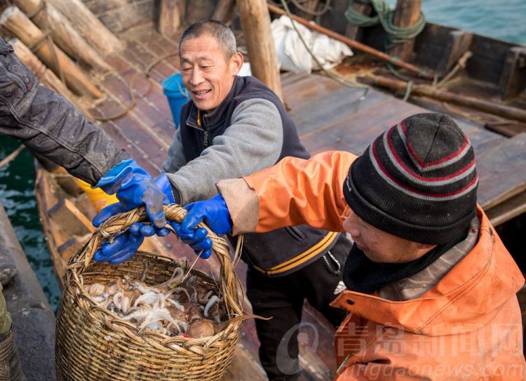 高清：出海啦！開捕啦！沙子口漁民開始年后作業