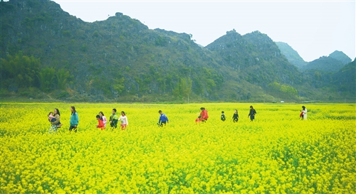 “網(wǎng)紅”景點、文化民俗帶熱春節(jié)假期西部旅游