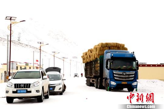 各地馳援青海玉樹(shù)雪災(zāi) 飼草料成主要救災(zāi)物資