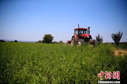 中國氣象局：厄爾尼諾或對地區農業生產產生一定影響