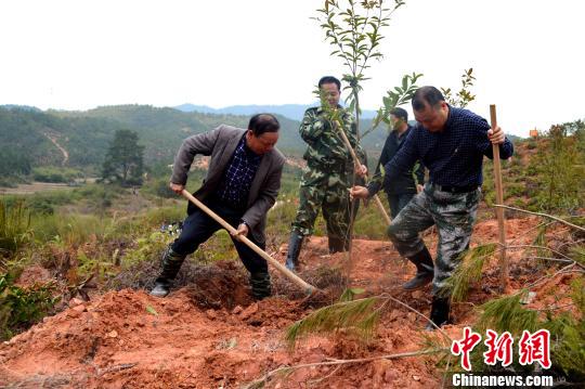 福建長汀水土流失治理精準治理深層治理