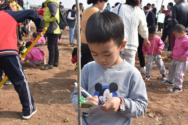 03 來自山師幼兒園的尚官正小朋友在心愿卡上畫下一棵小樹。