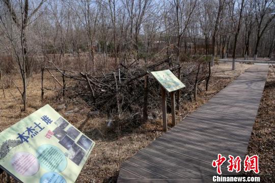 今年北京將建6處生物多樣性恢復示范區