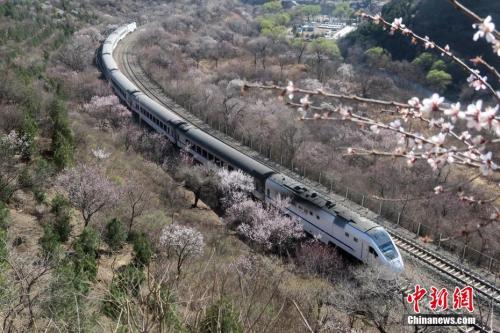 清明北京鐵路局加開列車170列 方便旅客踏青祭掃