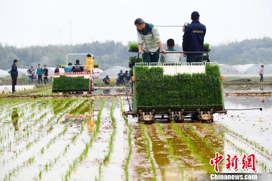 兩部門：嚴厲打擊違規騙套農機購置補貼行為