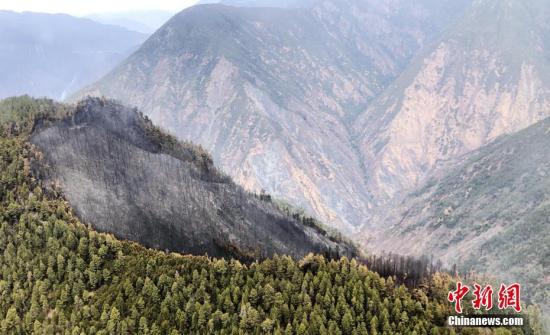 木里火災采取地空配合撲救 地面投入兵力1004人