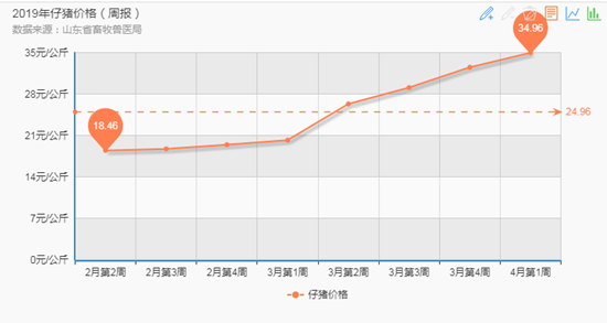 供給緊縮推高豬價，年后仔豬價格翻番