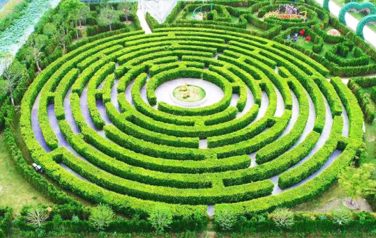 德州这处4000平植物迷宫等您来