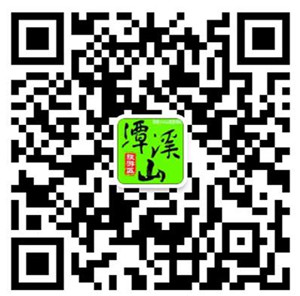 圖片13