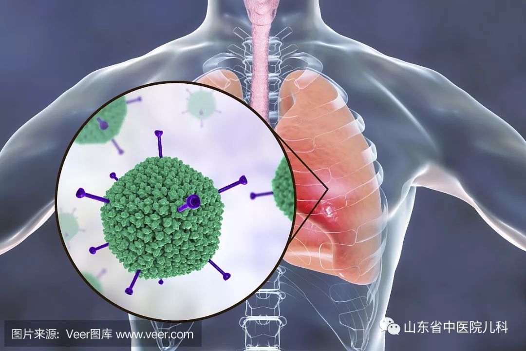 省中医儿科专家提醒各位家长:近期宝宝感冒,发烧,肺炎,请警惕腺病毒