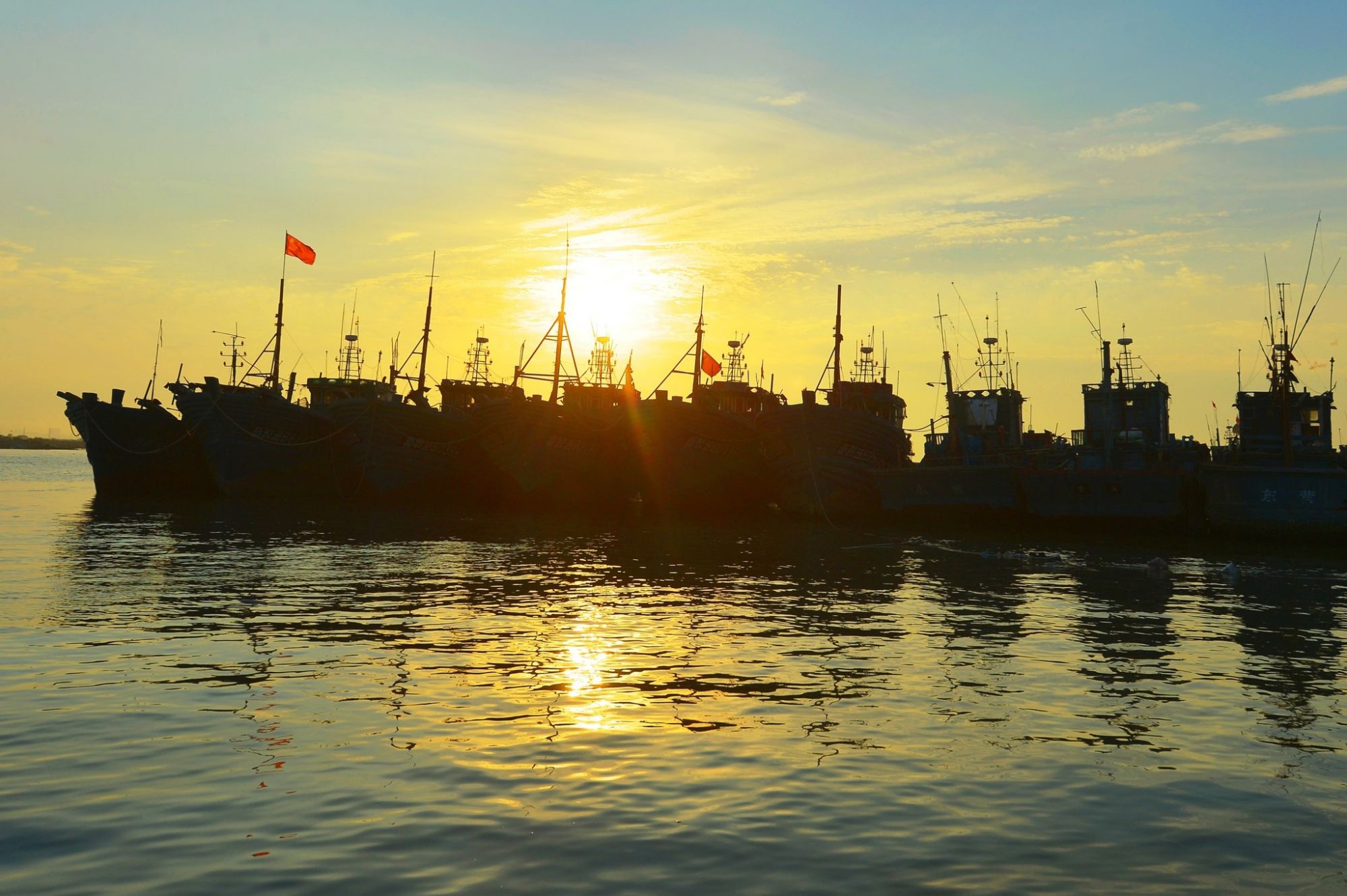 黄渤海区结束伏季休渔期 渔船燃炮出海