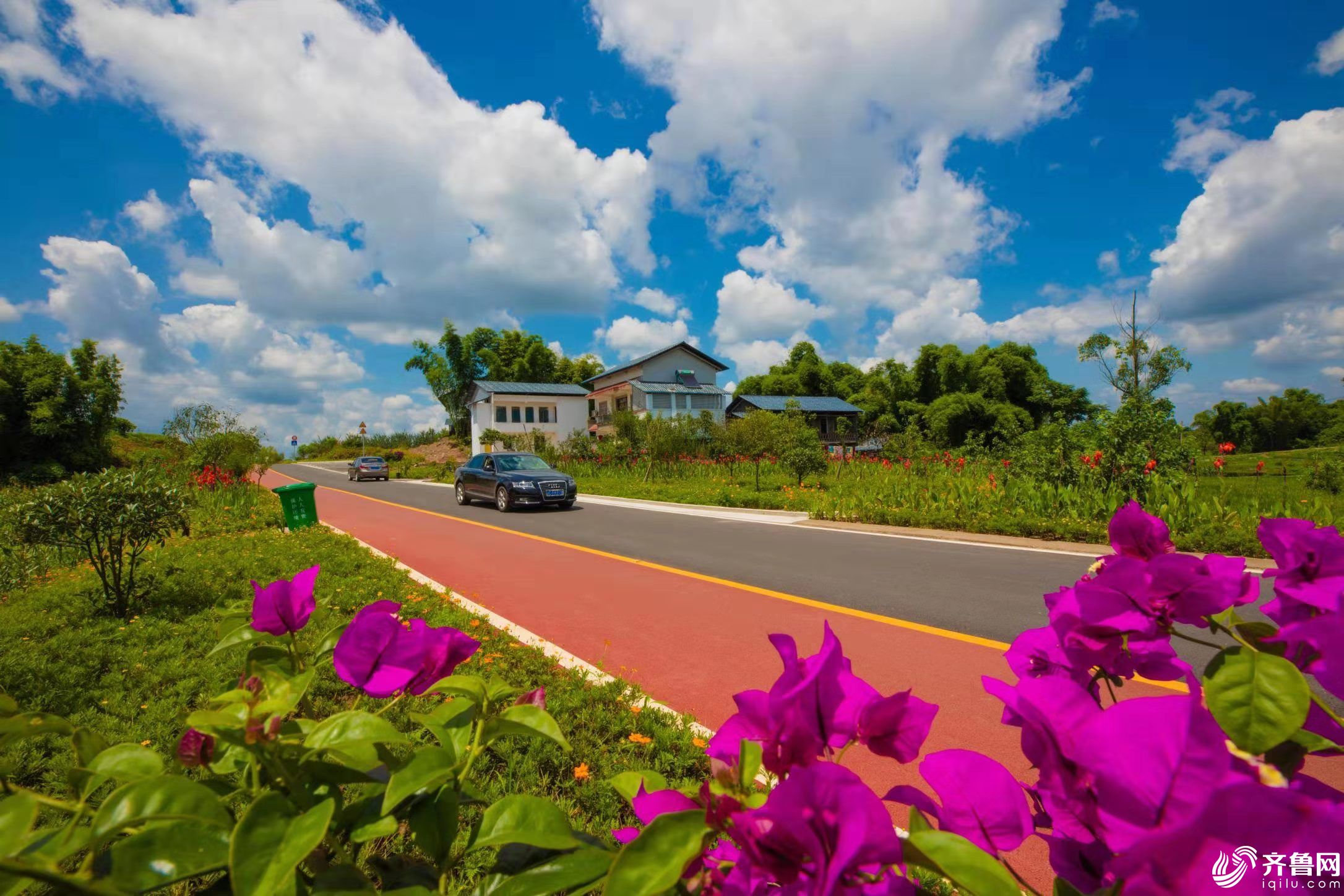 西郊綠道美麗鄉村路 張永紅 攝