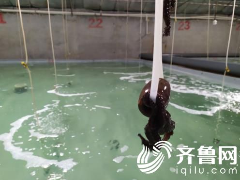 微信截圖_20190906085432