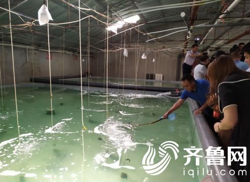 微信截圖_20190906085443