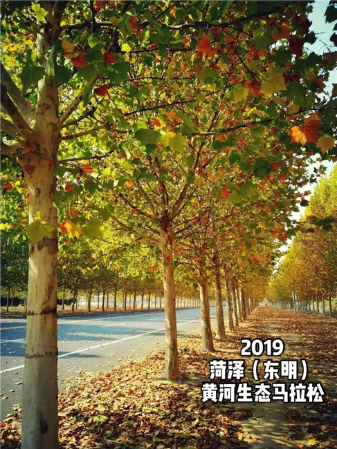 微信圖片_20191015104949