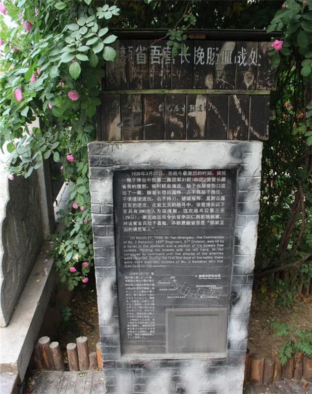 圖片14