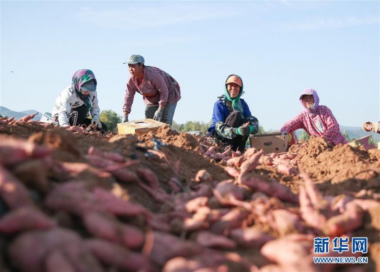 （在習(xí)近平新時代中國特色社會主義思想指引下——新時代新作為新篇章·總書記關(guān)切高質(zhì)量發(fā)展·圖文互動）（2）翻過“貧困”山，通向“幸福”站——脫貧攻堅(jiān)“殲滅戰(zhàn)”里的小故事