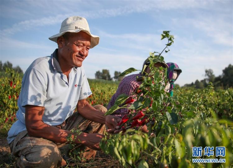 （在習(xí)近平新時代中國特色社會主義思想指引下——新時代新作為新篇章·總書記關(guān)切高質(zhì)量發(fā)展·圖文互動）（1）翻過“貧困”山，通向“幸福”站——脫貧攻堅(jiān)“殲滅戰(zhàn)”里的小故事