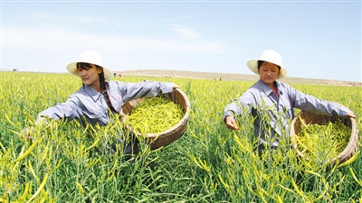 抓黨建促脫貧的寧夏實踐