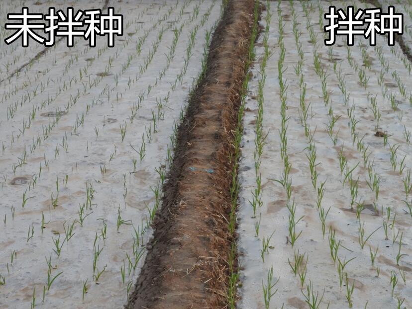 QQ截圖20191223145248