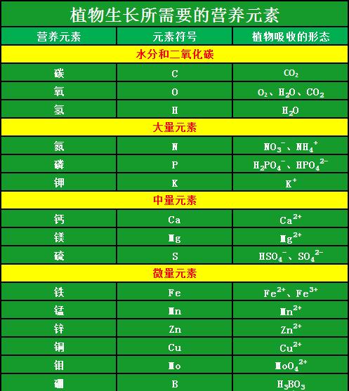 QQ截圖20191223150210