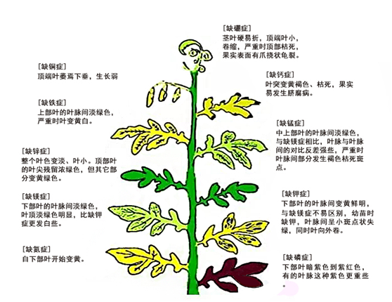 QQ圖片20191223150246