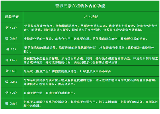 QQ圖片20191223150321