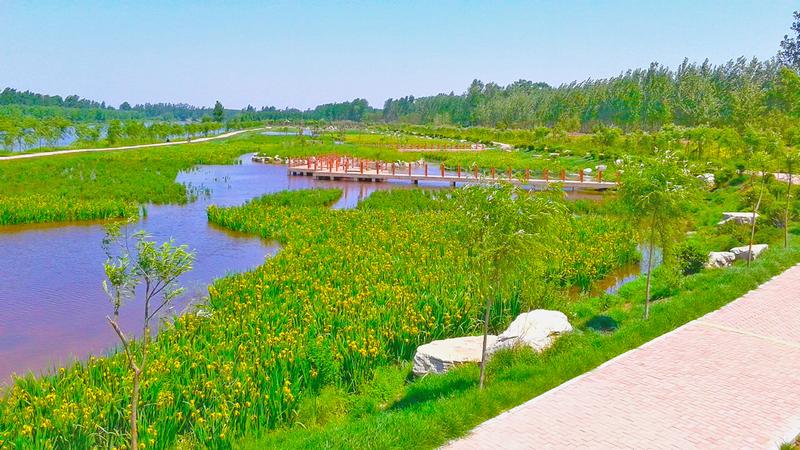 德州民生齐河黄河湿地位于齐河县黄河生态城最南端,祝阿镇东南部,由