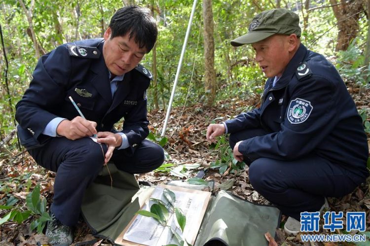 （新春走基層·圖文互動）（6）一座山，一輩子——走進贛江源