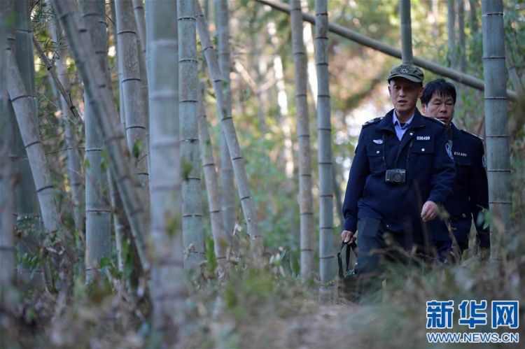 （新春走基層·圖文互動）（1）一座山，一輩子——走進贛江源