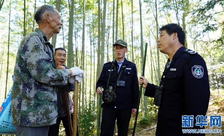 （新春走基層·圖文互動）（2）一座山，一輩子——走進贛江源