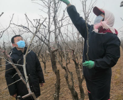 農忙不等人！沾化區下洼鎮辛莊村空中課堂來幫忙
